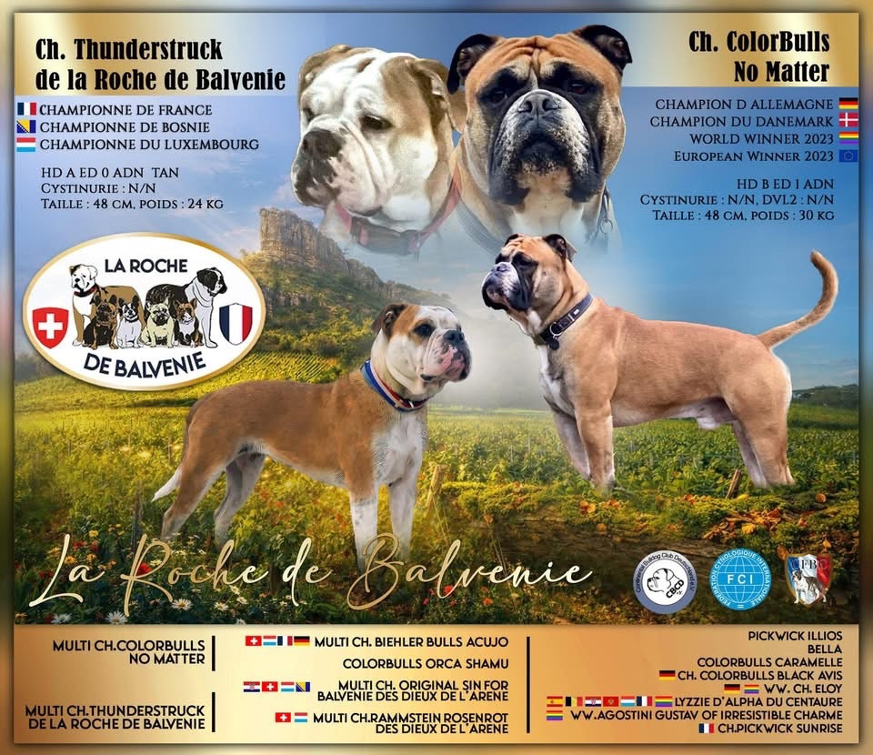 Un très beau mariage