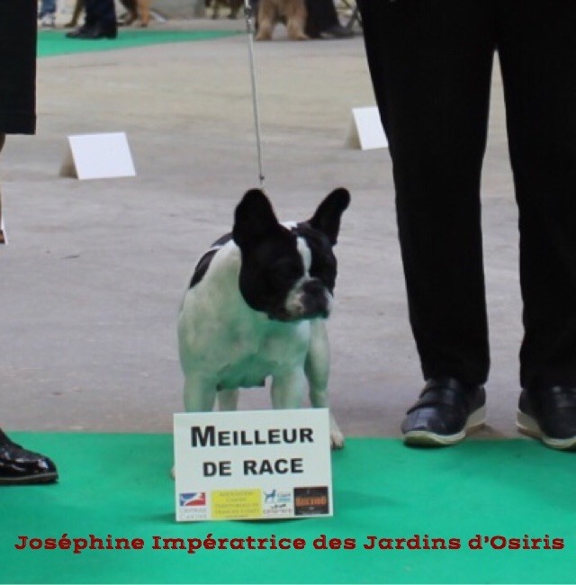 Exposition Internationale de Dole ( Jura)